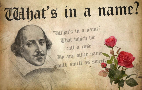 What&rsquo;s in a name: Source https://stijndewitt.files.wordpress.com/2019/11/whats-in-a-name-shakespeare.jpg