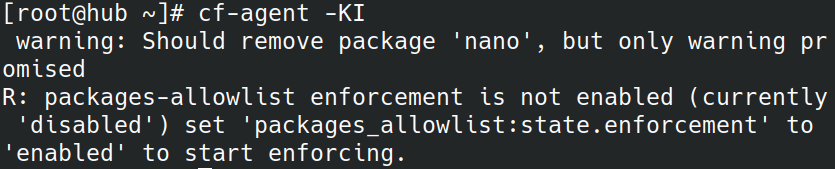 Screenshot showing behavior when package not in allowlist is found and enforcement is not enabled